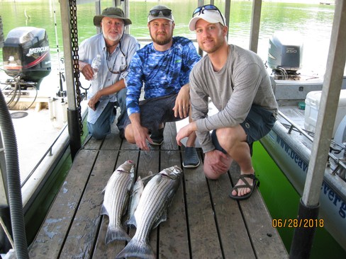 Nice Striped Bass